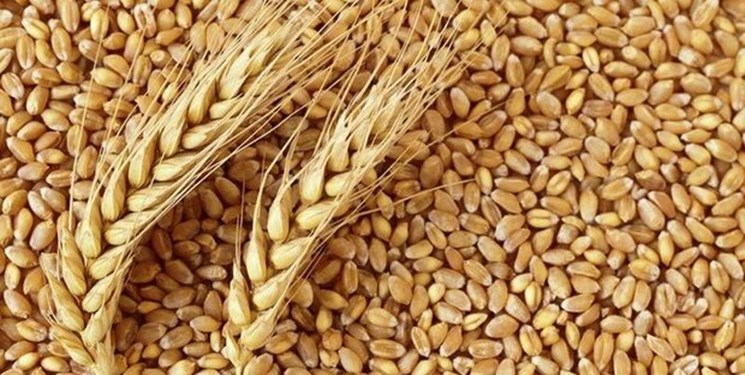 قاچاق بخش اعظمی از آرد و گندم یارانه‌ای‌ به خارج کشور
