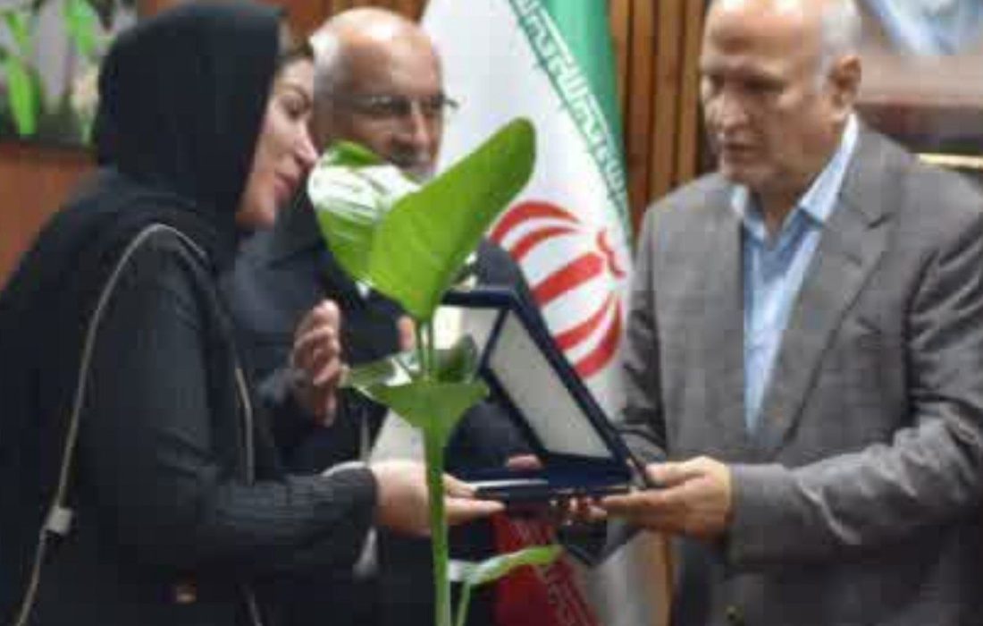 تجلیل باشکوه از مقام شامخ پرستار در شورای اسلامی شهر بابل