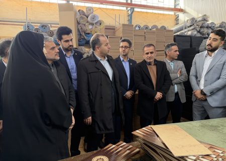 رشد ۲۰۰ درصدی تسهیلات صندوق کارآفرینی امید در مازندران