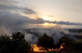مهار کامل آتش‌سوزی ۳ هکتاری در میانکاله بهشهر