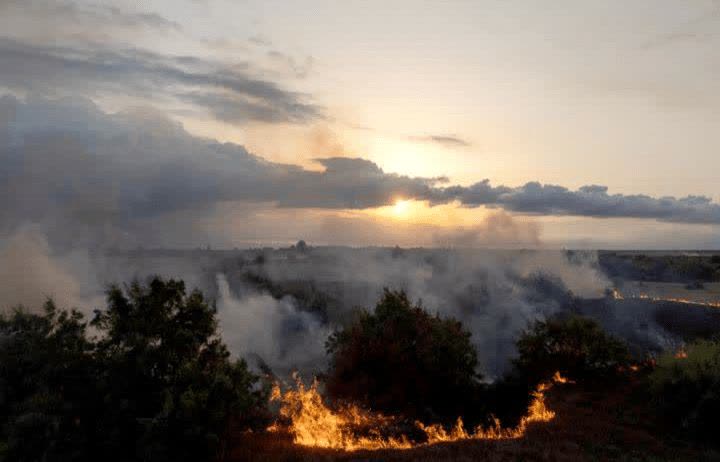مهار کامل آتش‌سوزی ۳ هکتاری در میانکاله بهشهر