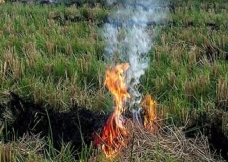 نبض سبز مزارع به‌جای دود سیاه
