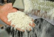 نشان‌دار کردن برنج مازندران