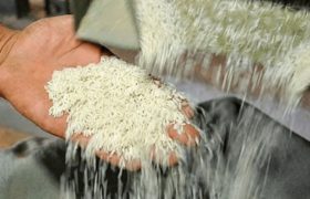 نشان‌دار کردن برنج مازندران