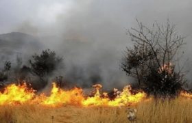شعله‌ور شدن مجدد حریق در میانکاله