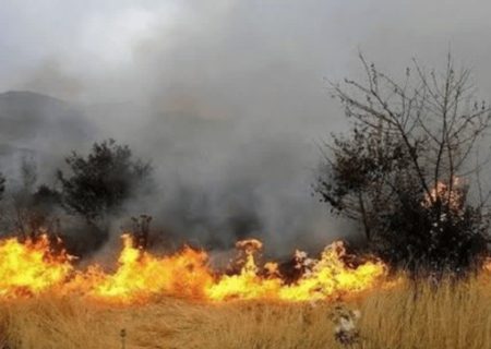 شعله‌ور شدن مجدد حریق در میانکاله