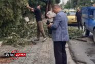 تداوم عملیات تیم مدیریت بحران فضای سبز بابل پس از تندباد و بارش‌های اخیر