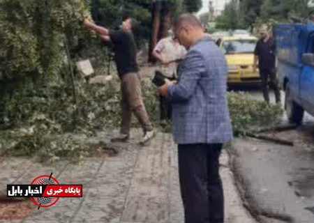 تداوم عملیات تیم مدیریت بحران فضای سبز بابل پس از تندباد و بارش‌های اخیر