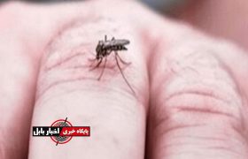 پشه آئدس در مازندران صید می‌شود