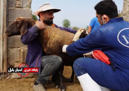 خدمات رایگان دامپزشکی به دامداران محروم مازندران رسید