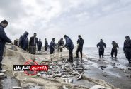 صیادان مازندران به دریا بازمی‌گردند