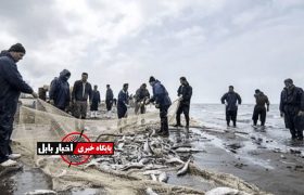 صیادان مازندران به دریا بازمی‌گردند