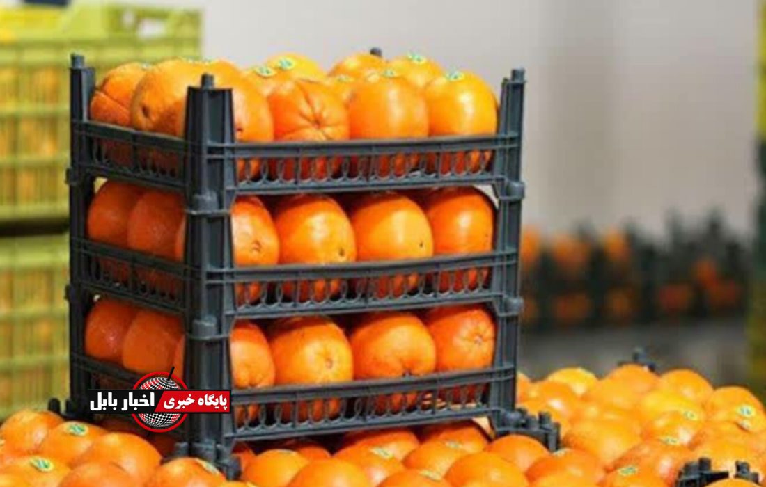 جهاد کشاورزی: عرضهٔ مرکبات رنگ‌شده ممنوع است