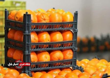 جهاد کشاورزی: عرضهٔ مرکبات رنگ‌شده ممنوع است